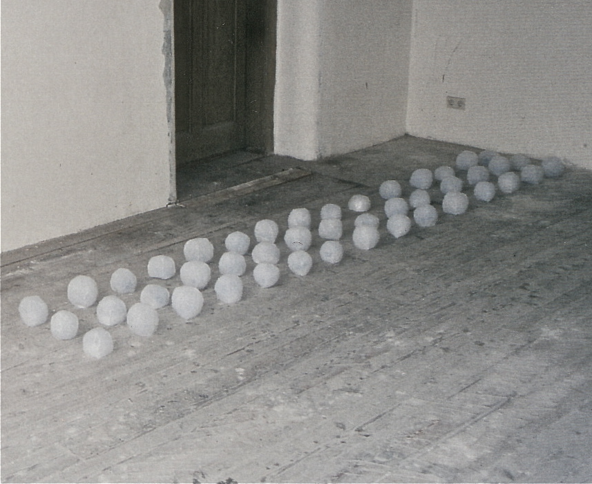 cocon,flies, akad.d.bild,künste wien, 1998
